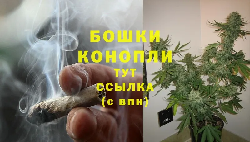 что такое наркотик  Заволжск  Бошки марихуана Amnesia 